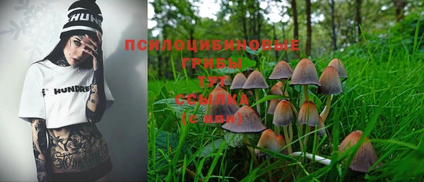 ALPHA-PVP Верхний Тагил